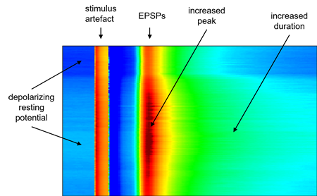 2D Intensity raster